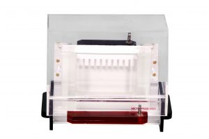 Model_VG1_10_well_vertical_gel_app.