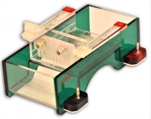 Model_maringel_10_well_Horizontal_gel_app